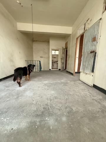 桃園龍潭透天-5